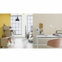 DELZONGLE SOPHIA 2027