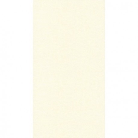 Papier peint stock DELZONGLE Collection SOPHIA 2027 référence 1079