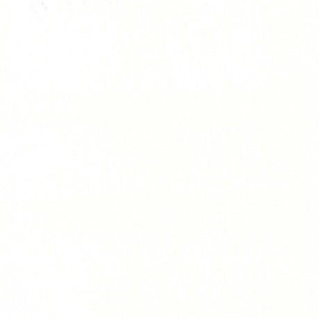 Papier peint stock DELZONGLE Collection SOPHIA 2027 référence 1088