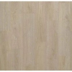 DELZONGLE Acoustic 2S3