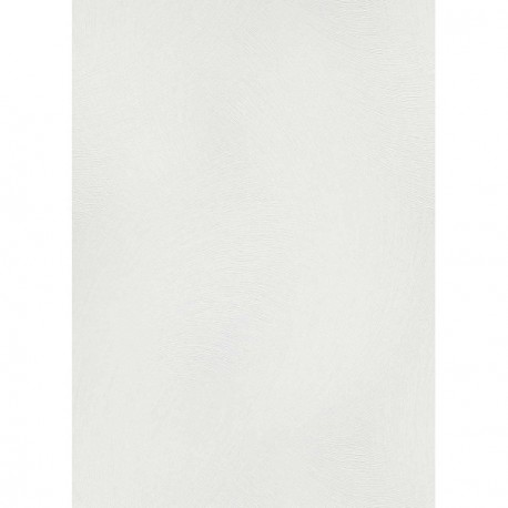 Papier peint stock DELZONGLE Collection SOPHIA 2027 référence 1082