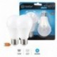 Pack 2 ampoules LED Standard 12W E27 6000K