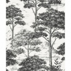 DELZONGLE Sophia 5019