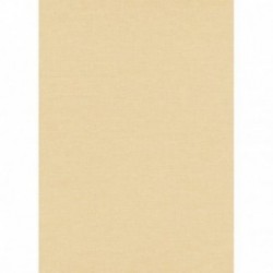 DELZONGLE Prima 6004