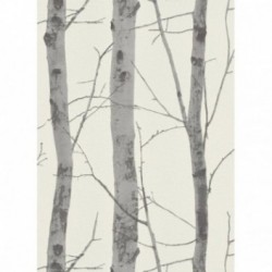 DELZONGLE Prima 6027