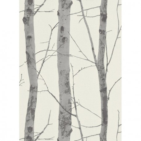 DELZONGLE Prima 6027