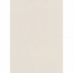 DELZONGLE Prima 6029