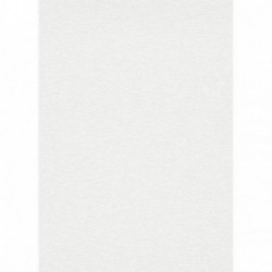 DELZONGLE Prima 6035