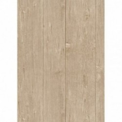 DELZONGLE Prima 6044