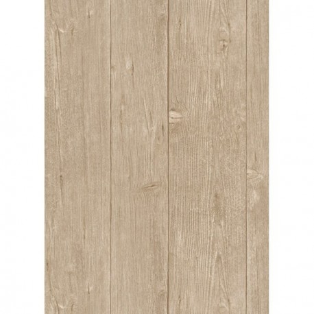 DELZONGLE Prima 6044