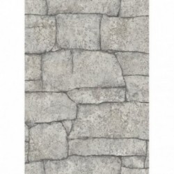 DELZONGLE Prima 6045