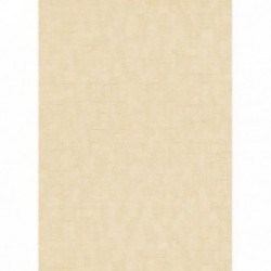 DELZONGLE Prima 6050