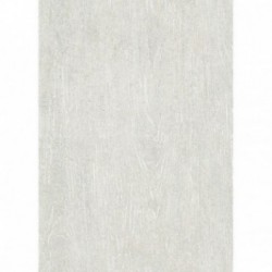 DELZONGLE Prima 6051