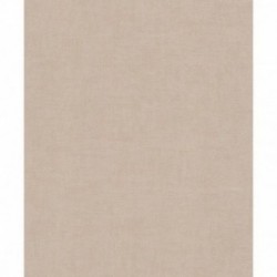 DELZONGLE Prima 6062