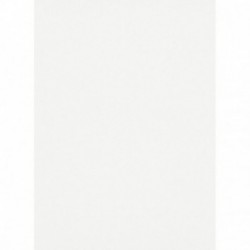 DELZONGLE Prima 6066