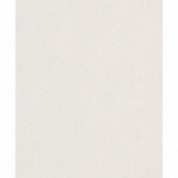 DELZONGLE Prima 6067