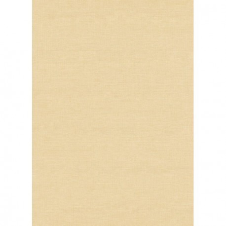 Papier peint stock DELZONGLE Collection PRIMA 2025 référence 6004