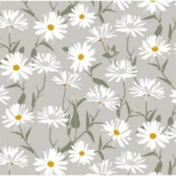 ACCESS DECO Toile cirée Déco