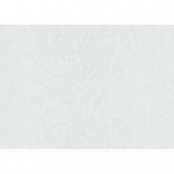 DELZONGLE Batiplus 20267005