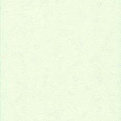 DELZONGLE Batiplus 20267031