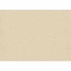 DELZONGLE Batiplus 20267040