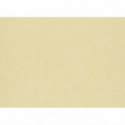 DELZONGLE Batiplus 20267041