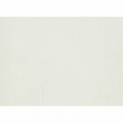 DELZONGLE Batiplus 20267051