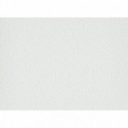 DELZONGLE Batiplus 20267055