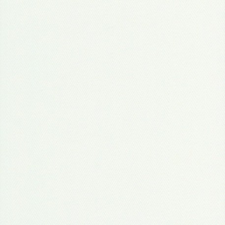 Papier peint stock DELZONGLE Collection BATIPLUS 2026 référence 7029 série B