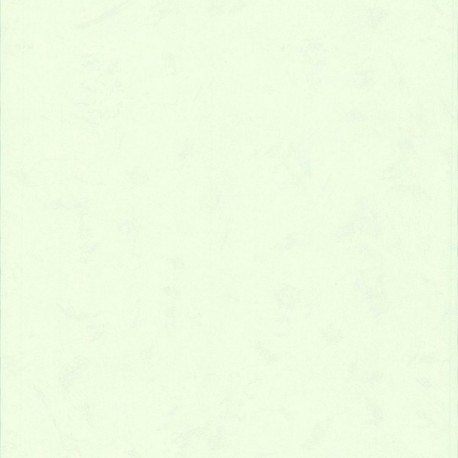 Papier peint stock DELZONGLE Collection BATIPLUS 2026 référence 7031 série B