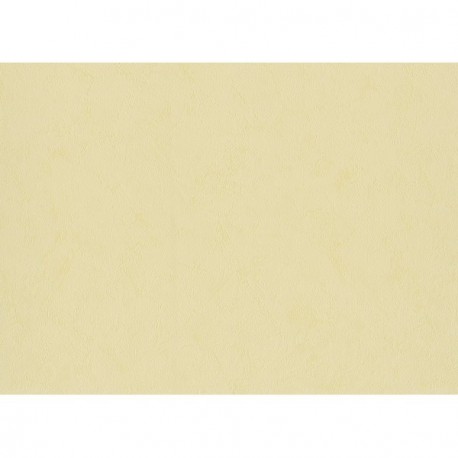 Papier peint stock DELZONGLE Collection BATIPLUS 2026 référence 7041 série B2