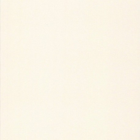 Papier peint stock DELZONGLE Collection BATIPLUS 2026 référence 7049