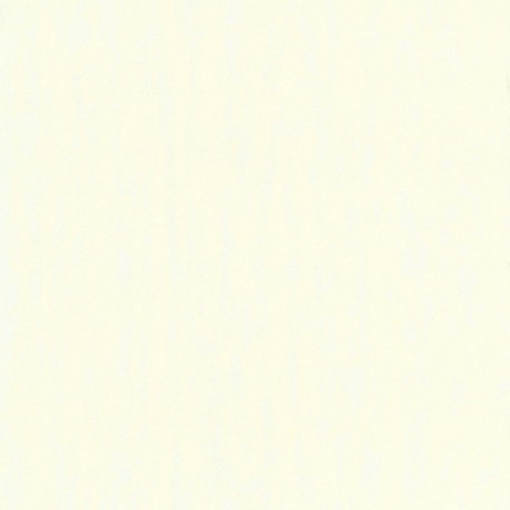 Papier peint stock DELZONGLE Collection BATIPLUS 2026 référence 7053 série E