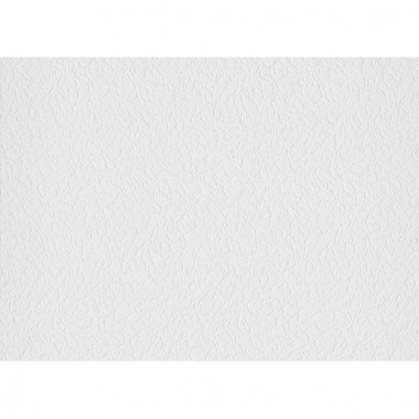 Papier peint stock DELZONGLE Collection BATIPLUS 2026 référence 7055 série Y