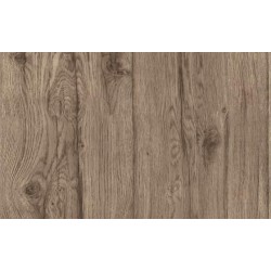 DELZONGLE Prima 2021