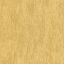 DELZONGLE Prima 2021