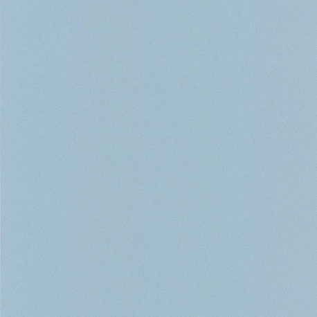 DELZONGLE Prima 2021