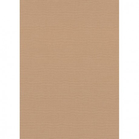 Papier peint stock DELZONGLE Collection SOPHIA 2027 référence 1015