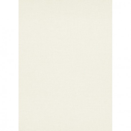 Papier peint stock DELZONGLE Collection SOPHIA 2027 référence 1029