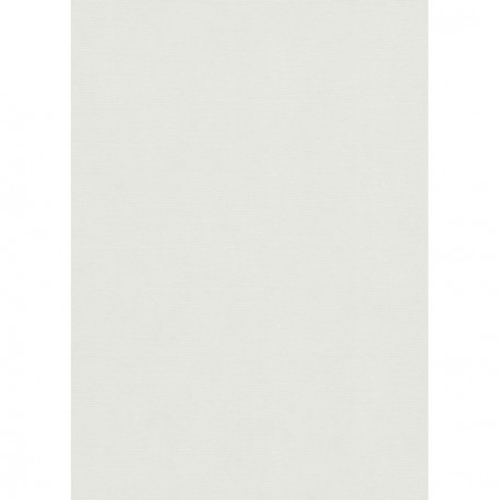 Papier peint stock DELZONGLE Collection SOPHIA 2027 référence 1037