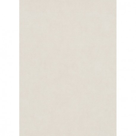 Papier peint stock DELZONGLE Collection SOPHIA 2027 référence 1038