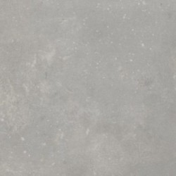 DELZONGLE Decotex