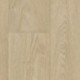 DELZONGLE Decotex