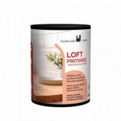 ID Loft Primaire plan de travail
