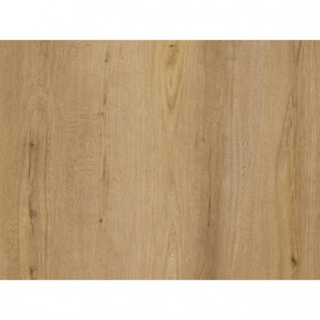 DECORALIA VCR Primo R-55 Acou.