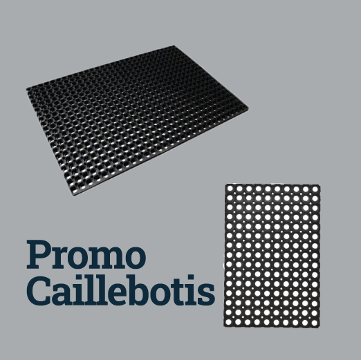 Promo TAPIS CAILLEBOTIS