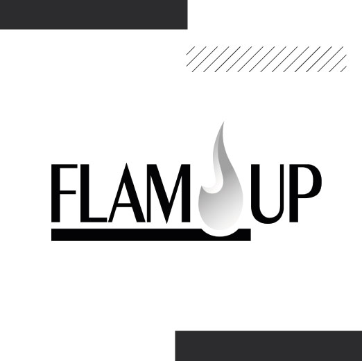 PROMO FLAM UP ALLUME-FEUX 