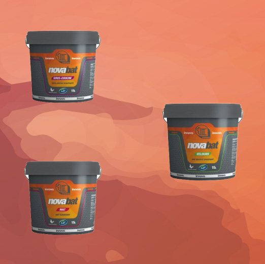 Promo Peinture Pro Novabat