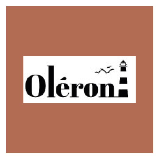 PROMO OLERON DECOSPRAY 400ML 