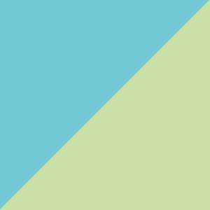 turquoise/anis